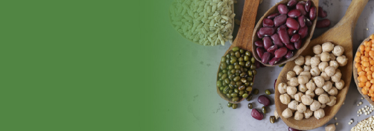 Medidas-Monte_inicio baner semillas