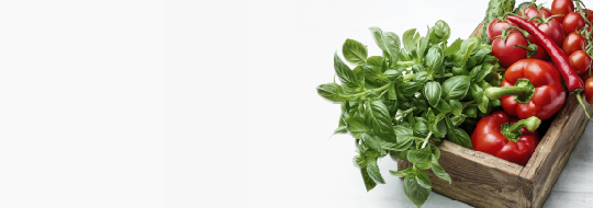 Medidas-Monte_inicio baner vegetales